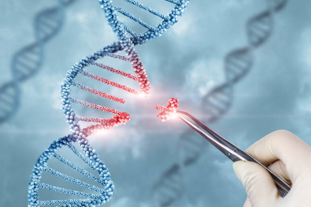 Основы генной инженерии и модификации генома